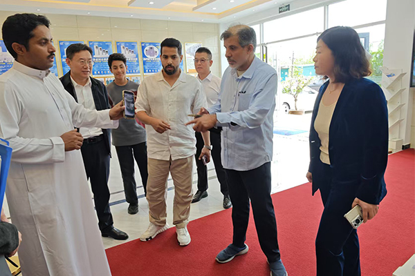 Lcgk Electric Inverter Franchise